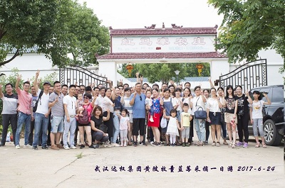 達權(quán)集團藍莓采摘活動